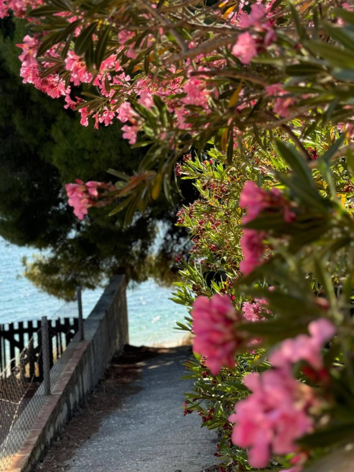 Villa Stadi 니키티 외부 사진