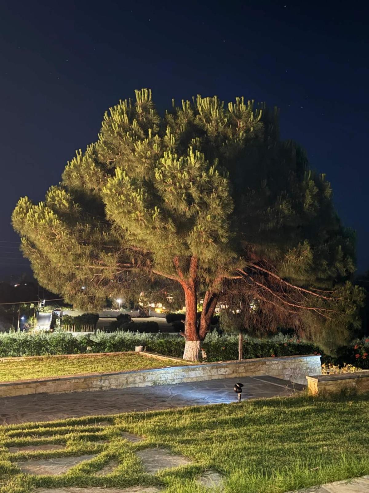 Villa Stadi 니키티 외부 사진